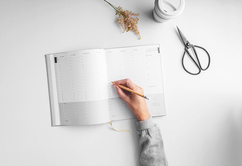 تبلت یا لپ‌تاپ؟ راهنمای جامع انتخاب برای مطالعه، وب‌گردی و تولید محتوای درسی (ویژه فرهنگیان)