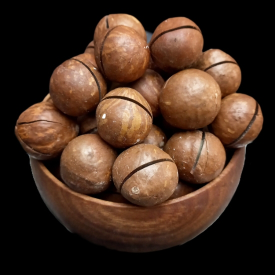 تصویر ماکادمیا سایز درشت (فندق استرالیایی)