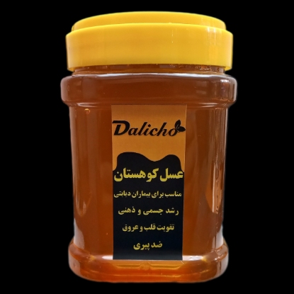 تصویر عسل طبیعی کوهستان (دیابتی)