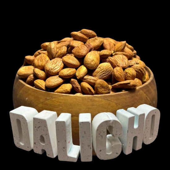 تصویر مغز هسته زردآلو شور