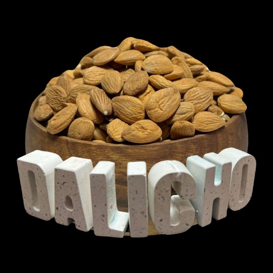 تصویر مغز هسته زردآلو خام تمام شیرین